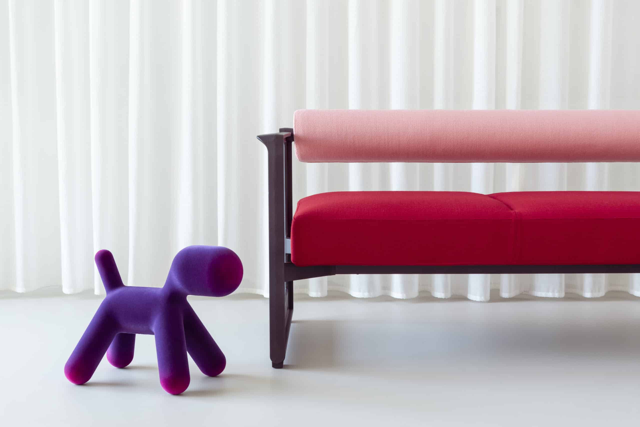 On y voit un chien design dans un intérieur professionnel
