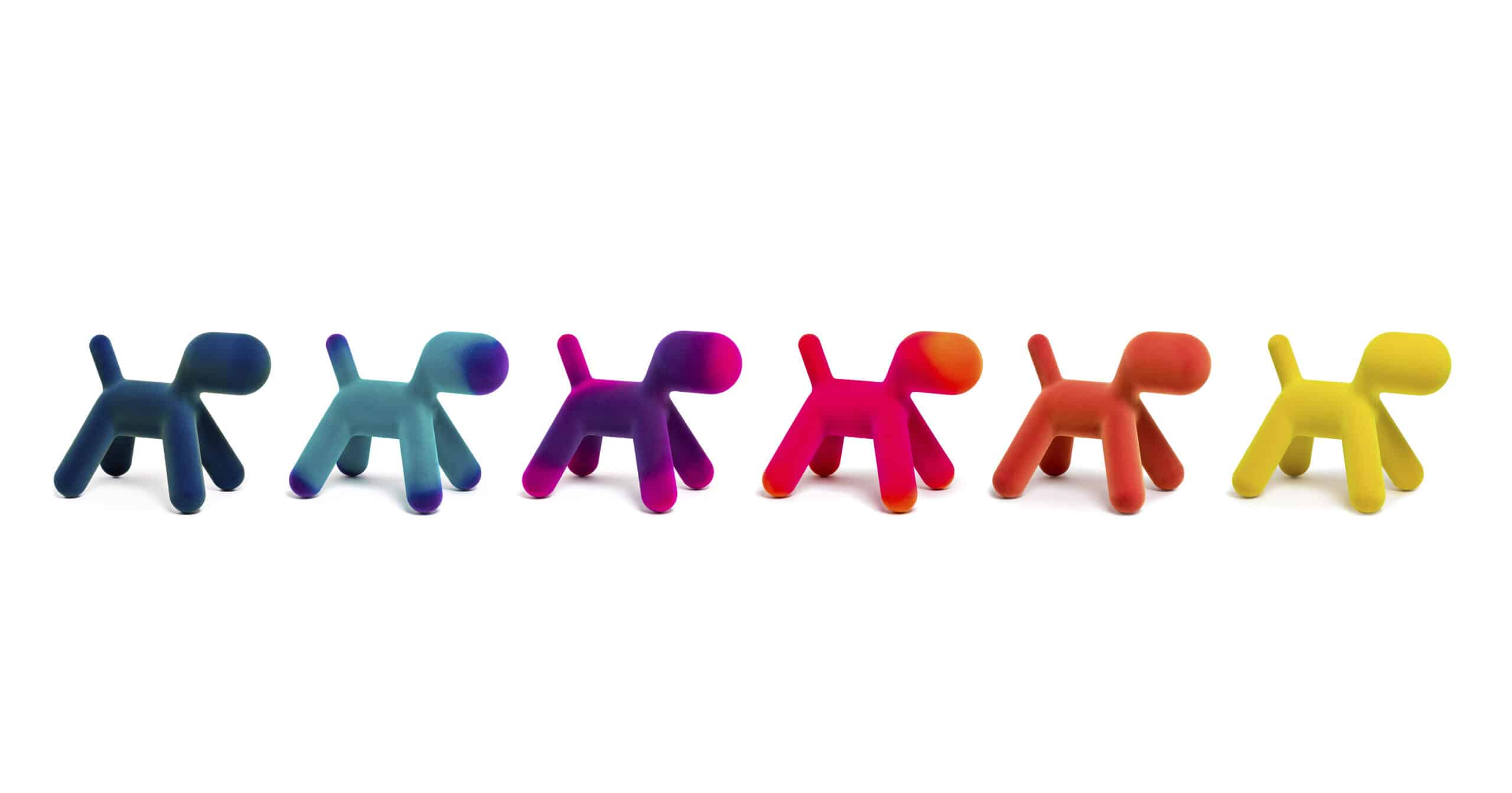On y voit une collection de chien design